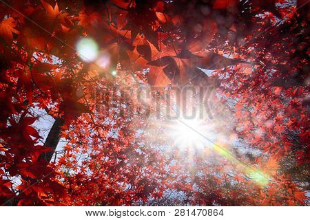 Autumn Of Gancheonsan Mountain, Sunchang, Jeollanamdo, South Korea