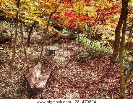 Autumn Of Gancheonsan Mountain, Sunchang, Jeollanamdo, South Korea
