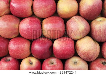 Texture Background Made Up Of A Pule Of Colorful Fresh Healthy Apples