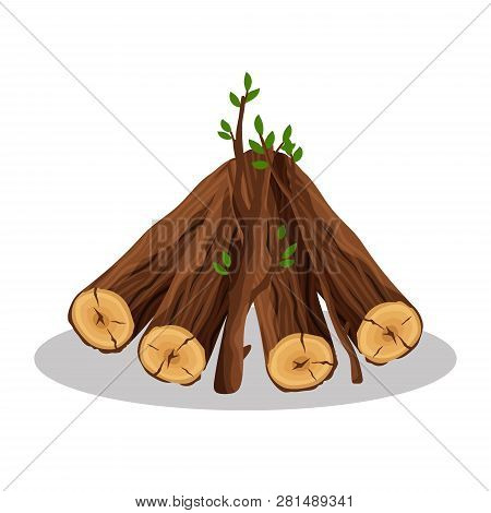 Stack Of Firewood Materials For Lumber Industry Isolated On White Background. Pile Of Wood Logs Tree