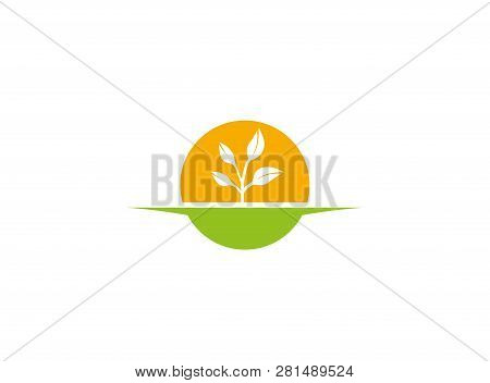 Agricultural Soil And Plant With Big Sun For Cultivation Of Solar Plants For Logo Design Illustratio