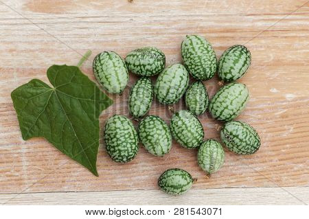 Fruits Of A Mexican Sour Gherkin, Melothria Scabra