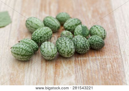Fruits Of A Mexican Sour Gherkin, Melothria Scabra