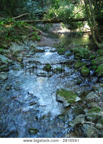 Kabbelende Stream