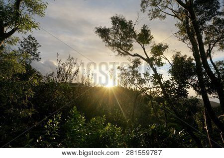Sunset Behind The Tantalus Mountain Past Tropical Silhouette Of Trees Through The Clouds On Oahu, Ha