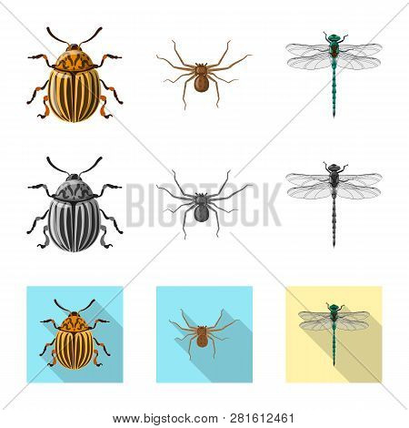 Isolated Object Of Insect And Fly Sign. Collection Of Insect And Element Vector Icon For Stock.
