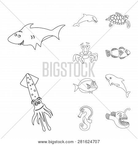 Isolated Object Of Sea And Animal Symbol. Collection Of Sea And Marine Stock Vector Illustration.