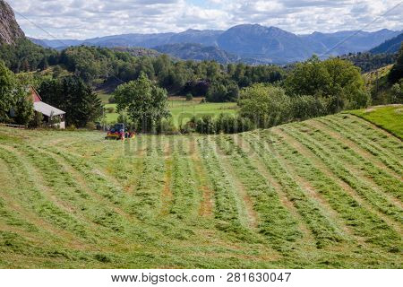 Norwegian rural landscape with tractor making windrows of freshly cut hay to dry before being baled Norway Scandinavia