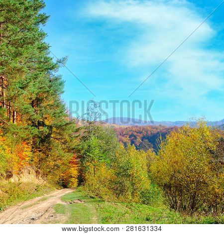 Colorful Autumn Landscape With Picturesque Forest And Old Country Road. Sunny Morning Scene In Carpa