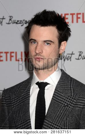 LOS ANGELES - JAN 28:  Tom Sturridge at the 
