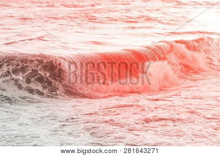 Trand Pink Living Coral Swirling Sea Wave