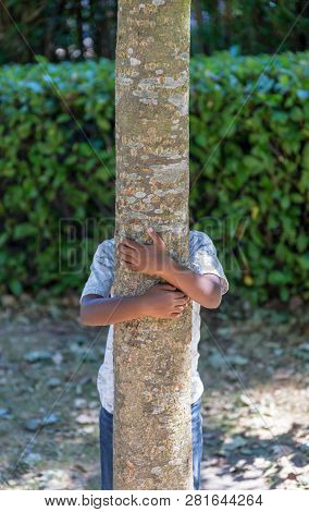 Young Child Hugging A Tree From Behind