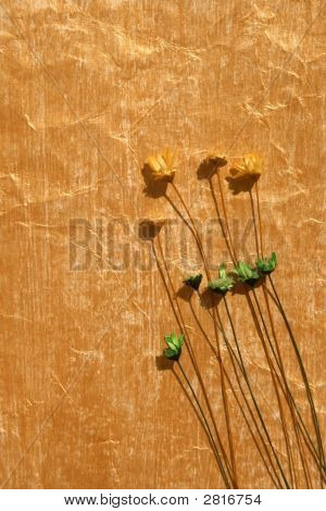 Goldene Farbe bemalten Papier und Trockenblumen