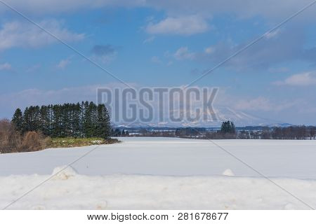 Beautiful Winter Landscape With Powder Snow On A Road In, Hokkaido Japan