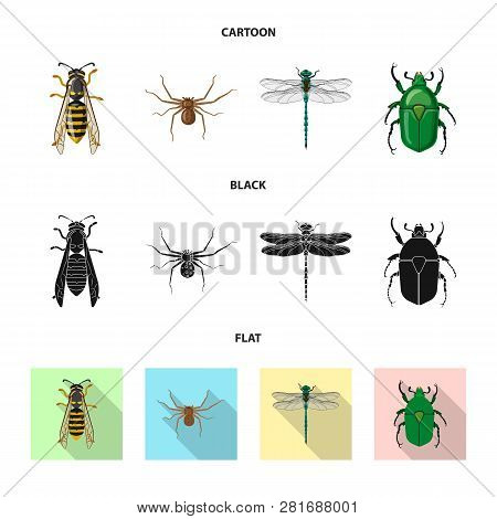 Vector Illustration Of Insect And Fly Symbol. Collection Of Insect And Element Stock Vector Illustra
