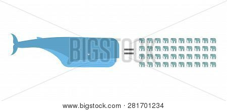 Weight Blue Whale Is 40 Elephants Infographics Animal