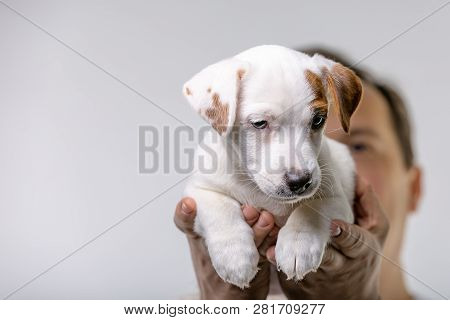 Horizontal Portrait Of Handsome Cheerful Man Holds Jack Russell Terrirer, Has Glad Expression