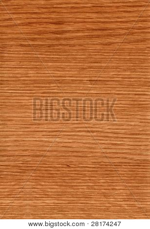 hautnah hintergrund hölzern hq Cartoni Eiche Textur
