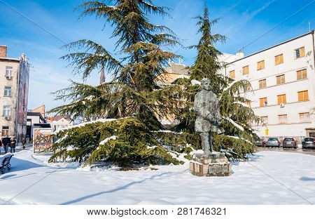 Novi Sad, Serbia. January - 27. 2019. Monument Of Jasa Tomic Serbian Journalist, Politician And Writ