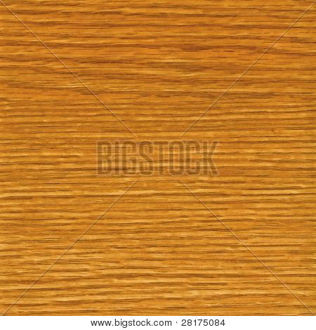 close up Eiche Holz Cartoni Textur Hintergrund