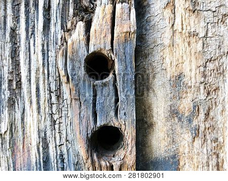 The Structure Of Wooden Fence. Shot From Close View.