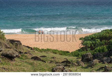 Tourists On Donkeys Or Paliku Beach Walking Into Sea On The Coast Of Kauai In Hawaii