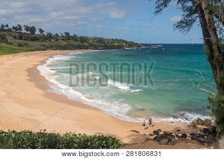 Tourists On Donkeys Or Paliku Beach On The Coast Of Kauai In Hawaii