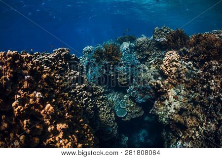 Underwater Rocks With Corals In Blue Ocean. Menjangan Island