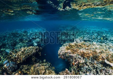 Underwater Rocks With Corals In Blue Ocean. Menjangan Island