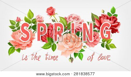 Slogan Spring Is The Time Of Love. Beautiful Flowers Of Blooming Roses Red, Pink And Living Coral Co