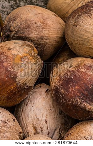 Vertical Set Of Whole Brown Cokes Cleared Many Fruits Source Of Protein Dessert Ingredient Fragrant 