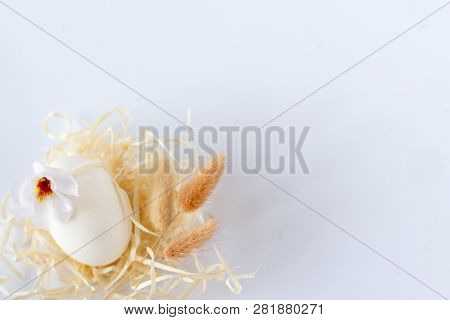 Easter Egg Isolated On White. Easter Background With Easter Egg . Top View With Copy Space.