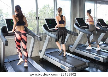 Back View Of Group Of Young People Running On Treadmills In Sport Gym . Three Fitness Woman Runner O