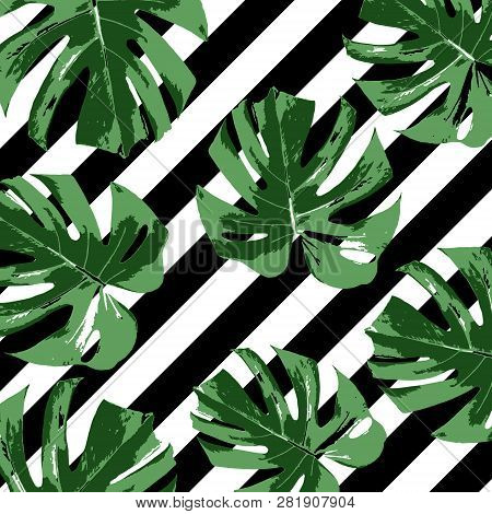 Tropical Summer Fashoin Background With Leaves Palm