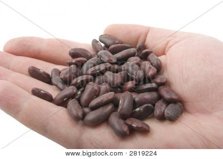 Rote Bohnen In der Hand