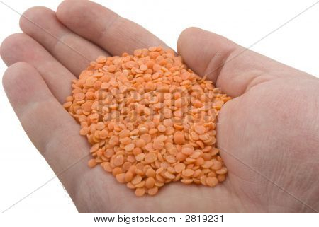 Linsen In der Hand