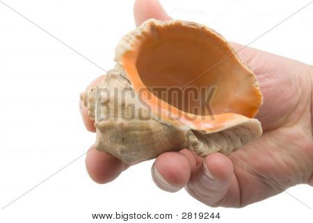 Schale In der Hand
