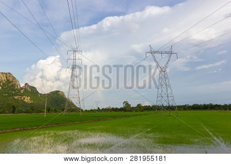 High Voltage Transmission Towers - Located In The Middle Of Green Rice Fields