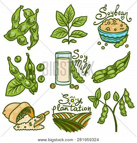 Soybean Icons Set. Hand Drawn Set Of Soybean Vector Icons For Web Design