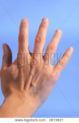 5 本の指