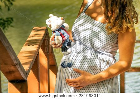 Pregnant Girl In Striped Dress With Toy For Her Infant Baby. Hands, Toy And Belly Close Up