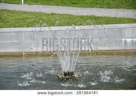 Forest Stream, Brooklet, Nature, Forest Creek, Nature Creek