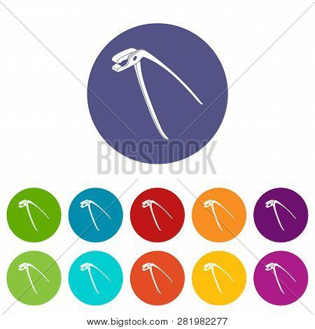 Medical Pliers Icons Color Set Vector For Any Web Design On White Background