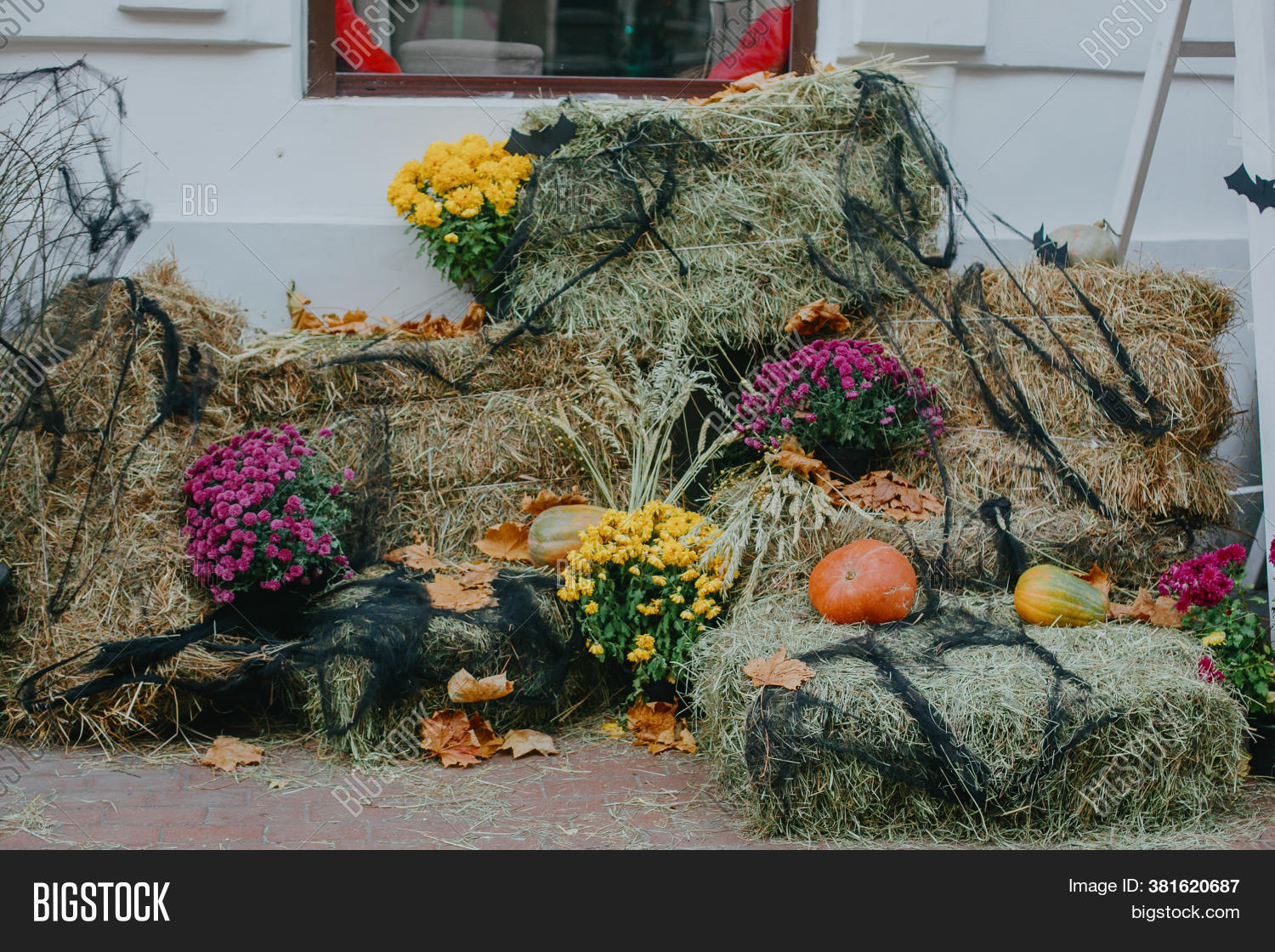 Halloween Street Decor Image & Photo (Free Trial) Bigstock