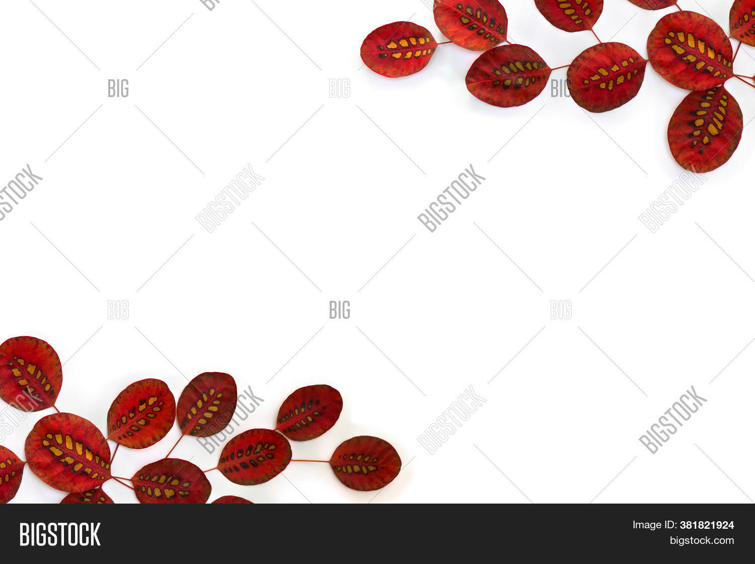 Red Fall Frame Frame Autumnal Red Image & Photo (Free Trial) | Bigstock