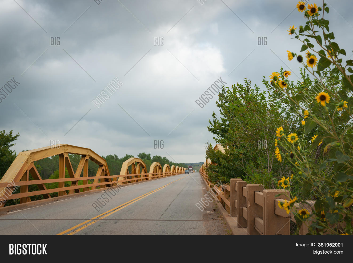 Pony Bridge along the Quinault River in the Olympic National Park ...