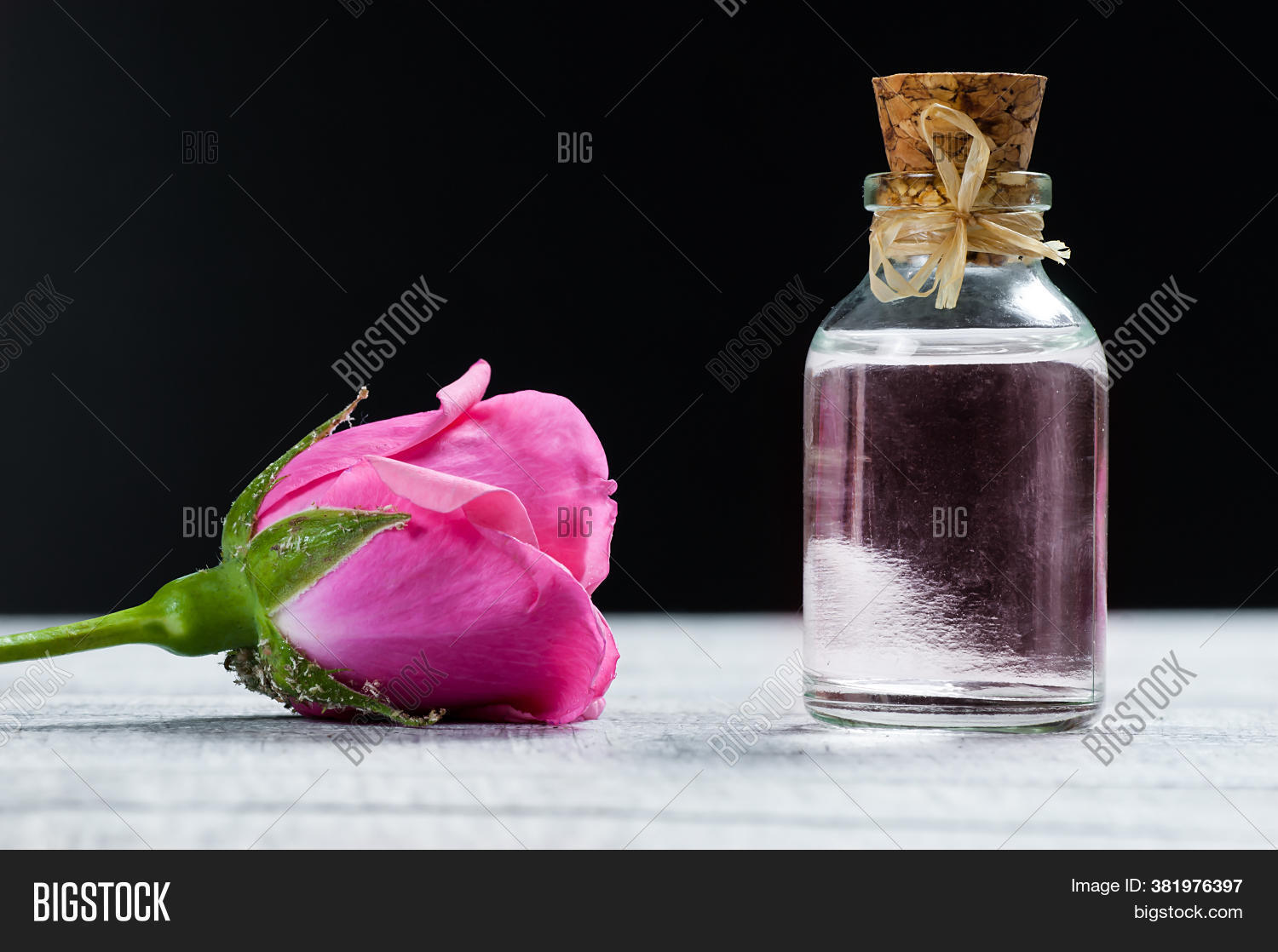Pink Rose Flower Glass Image & Photo (Free Trial) Bigstock