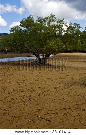 Reserve i Madagaskar