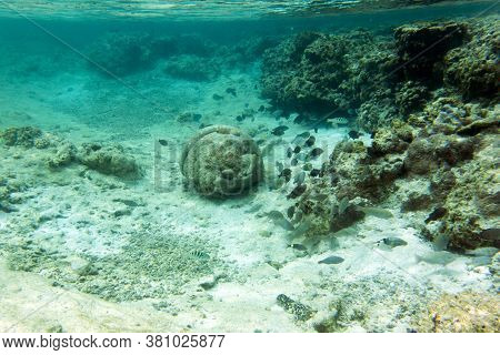 A Photo Of The Wonderful Sea Life
