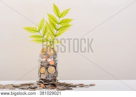 Many Money Coin In Jar Or Glass Bottle, Tree Leaf Inside In Stack Conin. Business Finance And Money